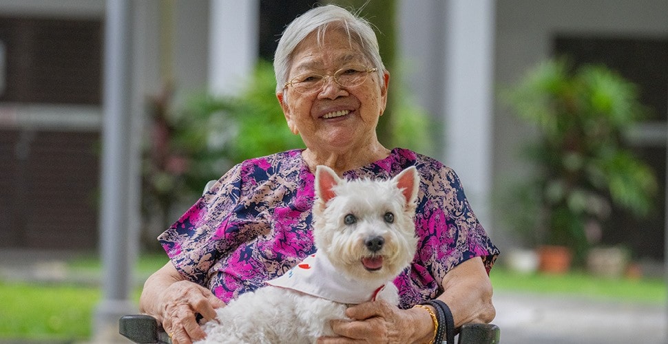 陳女士在新加坡动物辅助交流组织主办的各种活动中，与治疗犬托比培养了感情