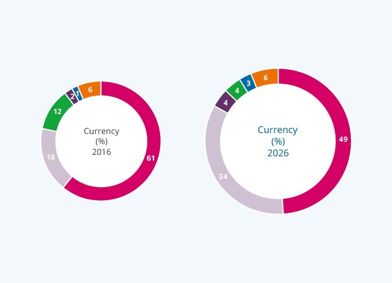 Portfolio by Currency (%)