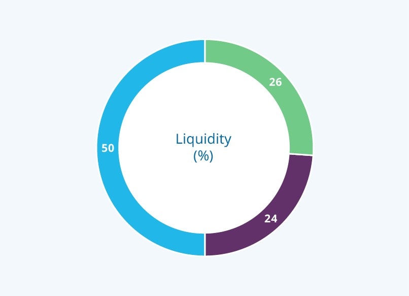 Portfolio by Liquidity (%)