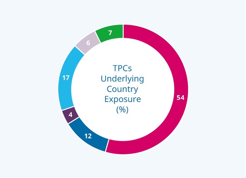 Singapore-based Temasek Portfolio Companies (TPCs) by Underlying Country Exposure (%)