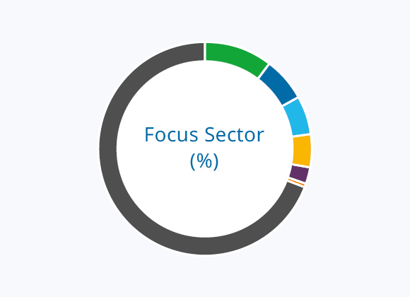 Focus Sector (%)