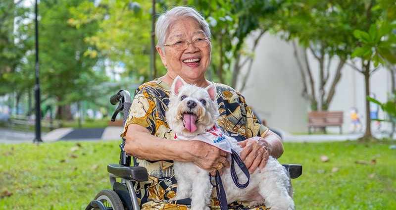 Improving Well-being of Seniors